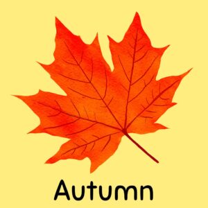 Autumn